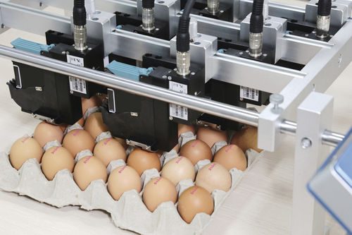 BI-06E Egg Printing Inkjet Printer